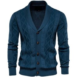 Vêtements Homme Gilets / Cardigans Atom Y168_Dark_blue Bleu