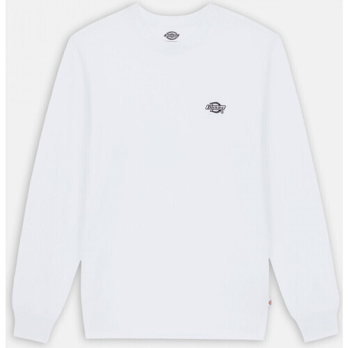 Vêtements Homme T-shirts & Polos Dickies Summerdale tee ls Blanc
