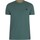 Vêtements Homme T-shirts manches courtes Timberland T-shirt ras du cou ajusté Dun-River Vert