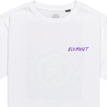 Vêtements Garçon T-shirts manches courtes Element Jurassic Blanc