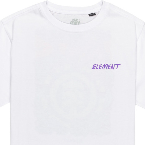 Vêtements Garçon T-shirts & Polos Element Jurassic Blanc