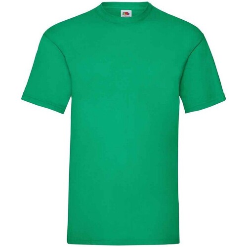 Vêtements Homme T-shirts manches longues Fruit Of The Loom Valueweight Vert