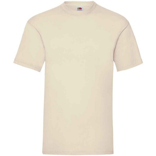 Vêtements Homme T-shirts manches longues Fruit Of The Loom Valueweight Beige