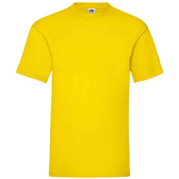 Vêtements Homme T-shirts manches longues Fruit Of The Loom Valueweight Multicolore
