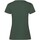 Vêtements Femme T-shirts manches longues Fruit Of The Loom SS77 Vert