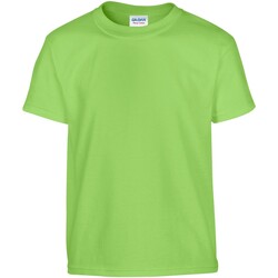 Vêtements Enfant T-shirts manches courtes Gildan GD05B Vert