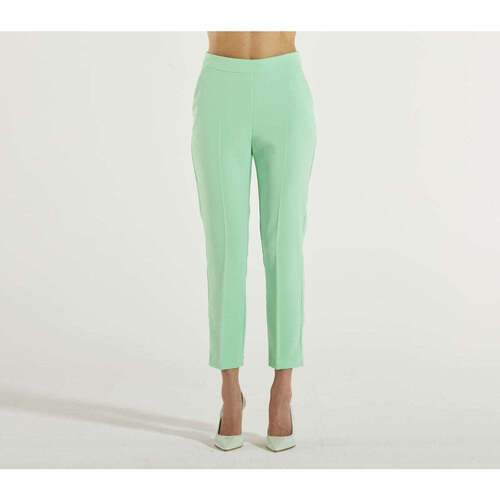 Vêtements Femme Pantalons Pinko  Vert