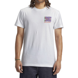 Vêtements Hyper T-shirts manches courtes DC Shoes Explorer Blanc