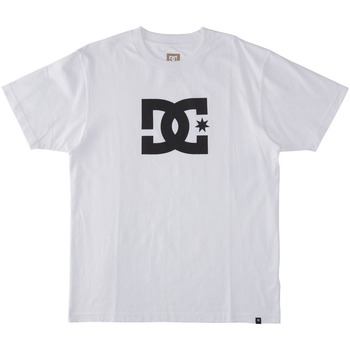 Vêtements Homme T-shirts manches courtes DC SHOES street DC Star Blanc