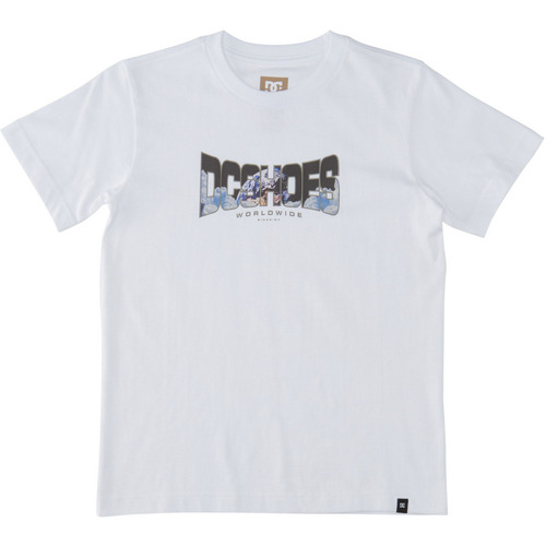 Vêtements Garçon T-shirts manches courtes DC low-top SHOES Astro Blanc
