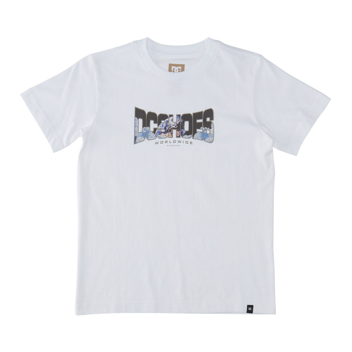 Vêtements Garçon T-shirts manches courtes DC Shoes Astro Blanc