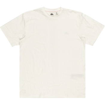 Vêtements Homme Débardeurs / T-shirts sans manche Quiksilver Slub Blanc