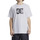 Vêtements Homme T-shirts manches courtes DC Shoes Sketchy Blanc
