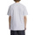 Vêtements Homme T-shirts manches courtes DC Shoes Sketchy Blanc