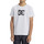 Vêtements Garçon T-shirts manches courtes DC Shoes red Sketchy Blanc