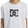 Vêtements Garçon T-shirts manches courtes DC Shoes Sketchy Blanc