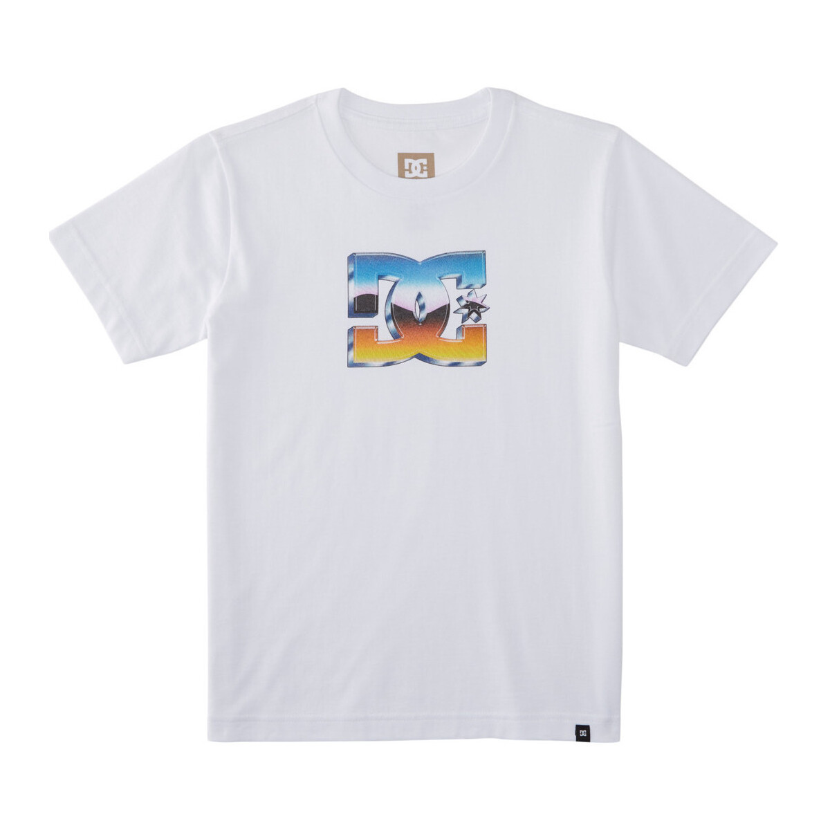 Vêtements Garçon T-shirts manches courtes DC Hiking Shoes Chrome Blanc