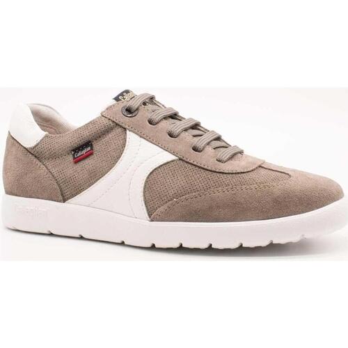 Chaussures Homme Rideaux / stores CallagHan  Gris