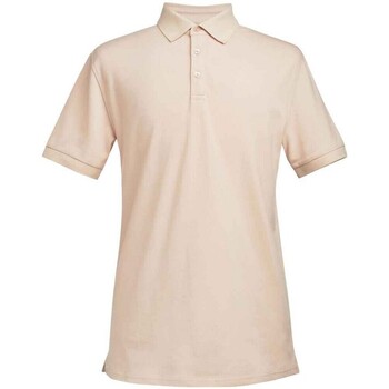 Vêtements Homme T-shirts & Polos Brook Taverner  Multicolore