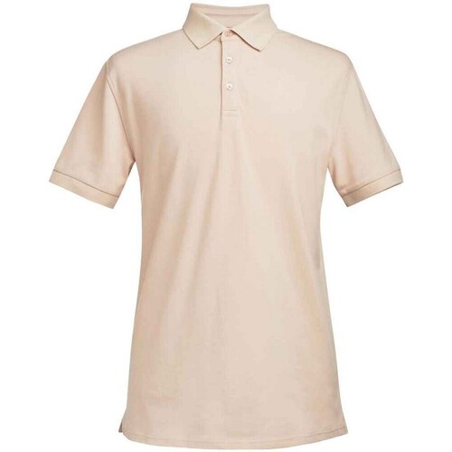 Vêtements Homme T-shirts & Polos Brook Taverner PC5943 Multicolore