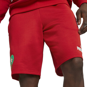 Vêtements Homme Shorts / Bermudas Puma 772485-01 Rouge