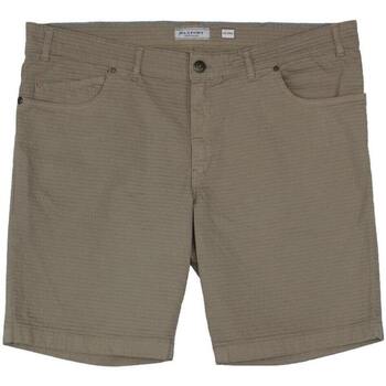 Vêtements Homme Shorts / Bermudas Max Fort QUERCIA Gris