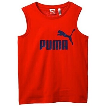Vêtements Garçon Paisley Sweatshirt With Cube Logo Puma 831921 Rouge