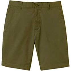 Vêtements Homme Shorts / Bermudas Lacoste FH2797 Vert