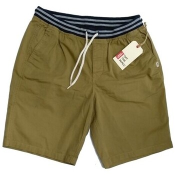 Vêtements Homme Home Shorts / Bermudas Vans VN0000QD Beige
