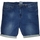 Vêtements Homme Shorts / Bermudas Max Fort NAGANO Bleu