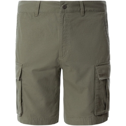 Vêtements Homme Shorts / Bermudas The North Face NF0A55B6 Vert