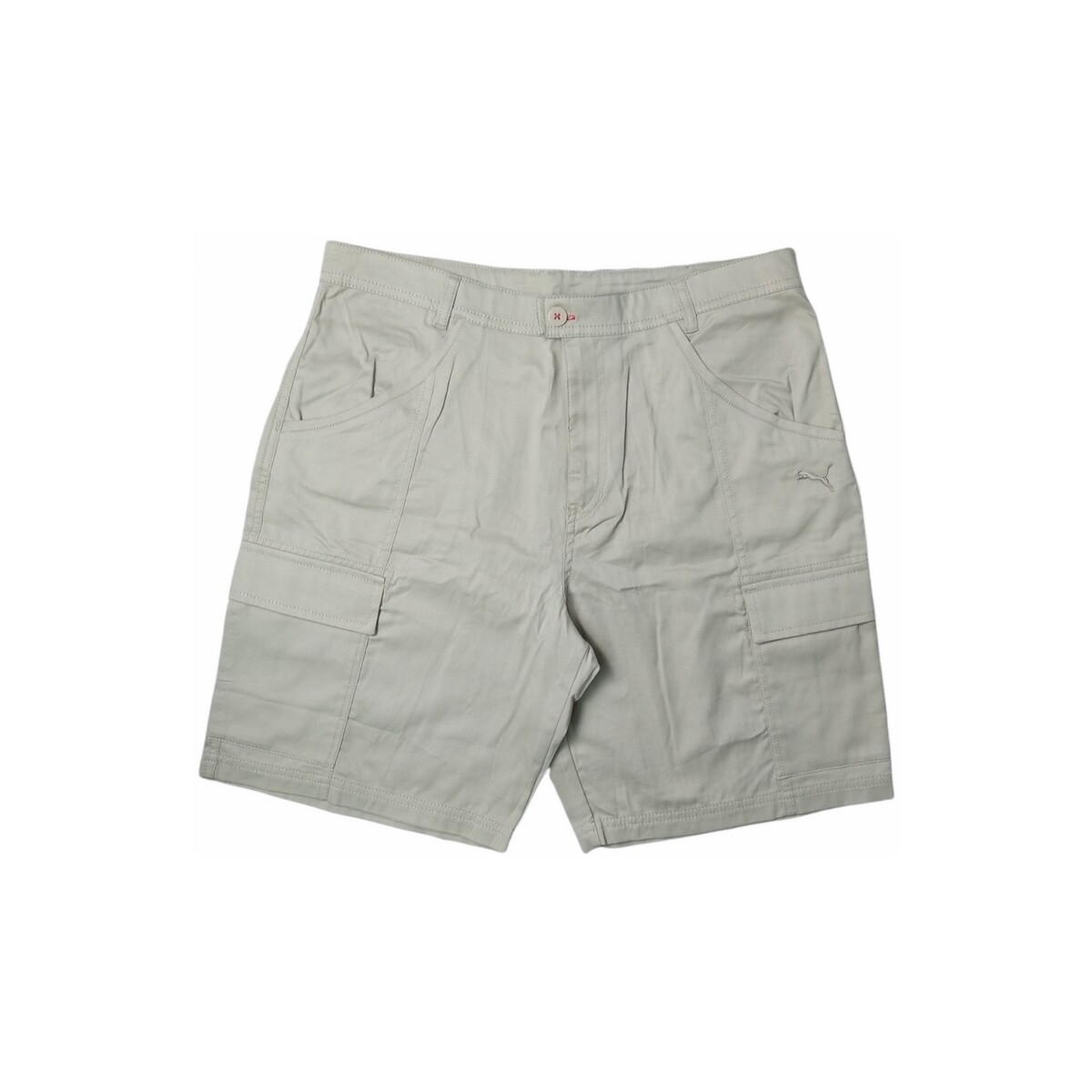Vêtements Garçon Shorts / Bermudas Puma 551132 Beige