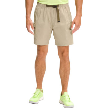Vêtements Homme Shorts gamba / Bermudas The North Face NF0A55V8 Beige