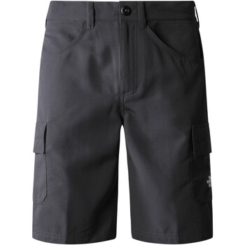 Vêtements Homme Shorts gamba / Bermudas The North Face NF0A824D Gris