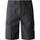 Vêtements Homme Shorts / Bermudas The North Face NF0A824D Gris