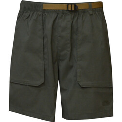 Vêtements Homme Shorts / Bermudas The North Face NF0A81WZ Vert