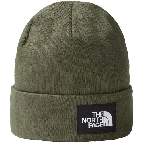 Accessoires textile Chapeaux The North Face NF0A3FNT Vert
