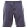 Vêtements Homme Shorts / Bermudas Champion 213043 Gris