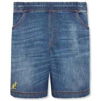 Vêtements Homme Shorts / Bermudas Australian 9075085 Bleu