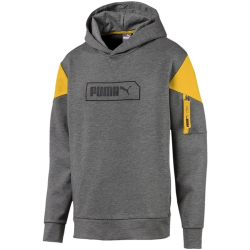 Vêtements Homme Sweats Puma softride 580388 Gris