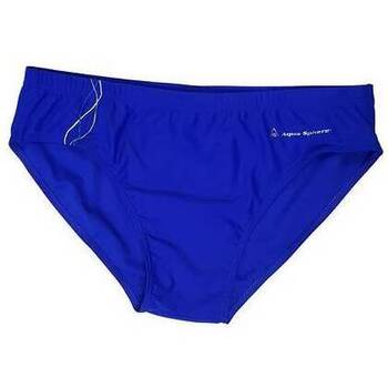 Vêtements Homme Maillots / Shorts de bain Aqua Sphere SM110 Bleu