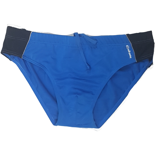 Vêtements Homme Maillots / Shorts de bain Aqua Sphere SM097 Bleu