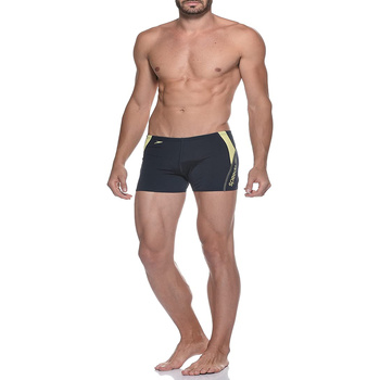 Vêtements Homme Maillots / Shorts de bain Speedo 07907 Bleu