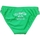 Vêtements Garçon Maillots / Shorts de bain Champion 304016 Vert