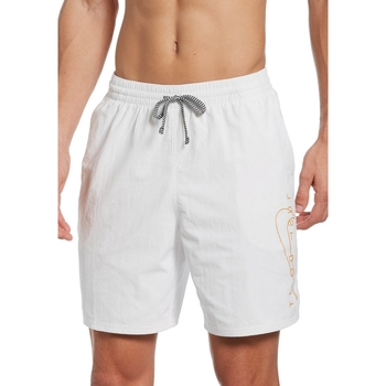 Vêtements Homme Maillots / Shorts de bain Nike NESSB639 Blanc