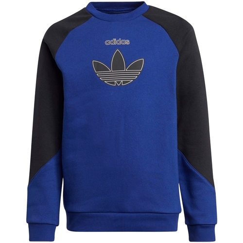 Vêtements Garçon Sweats adidas Originals H31210 Bleu