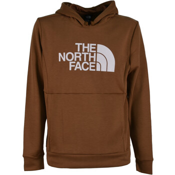 Vêtements Homme Sweats The North Face NF0A4965 Marron