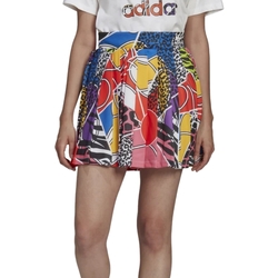 Vêtements Femme Jupes adidas Originals HC4479 Multicolore