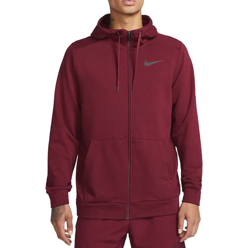 Vêtements Homme Sweats Nike CZ6376 Violet