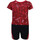 Vêtements Enfant Ensembles de survêtement Nike 65C216 Rouge